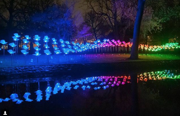 New for 2018, the @MyBGE Light Art Walk consists of 21 brand new light installations including On the Wings of Freedom presented by @kpthrive from 2016 returning artists @aetherhemera. 